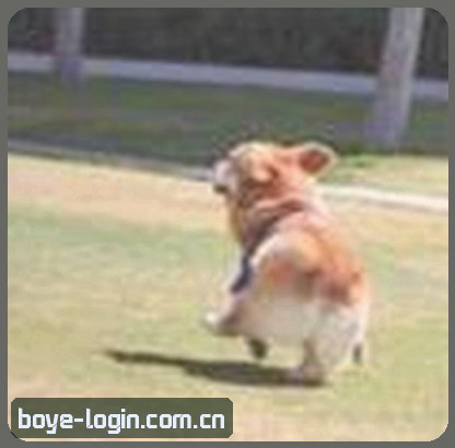 李阳