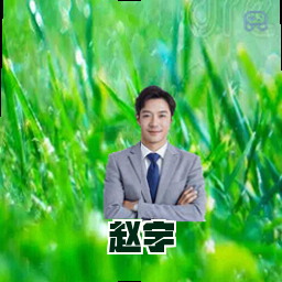 赵宇